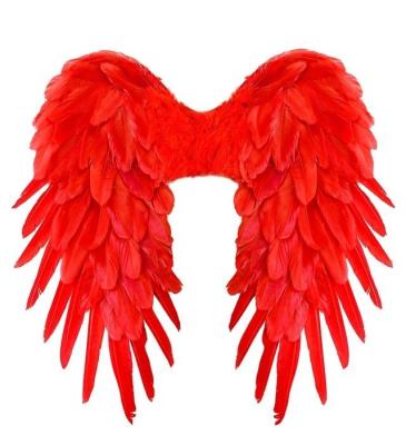 Opakowanie Czerwone skrzydła naturalne pióra