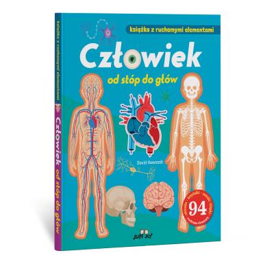 Człowiek od stóp do głów. Autor: Hawcock David. SmakLiter.pl Okładka książki Człowiek od stóp do głów