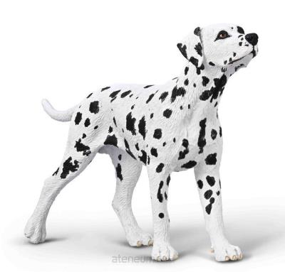 Opakowanie Dalmatyńczyk