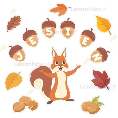 Opakowanie Dekoracje jesienne - Jesienna wiewiórka 14el