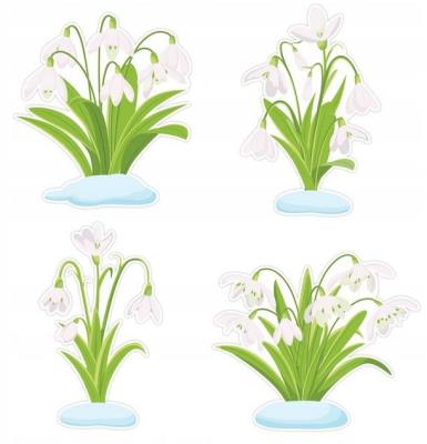 Opakowanie Dekoracje okienne - Przebiśniegi 4el