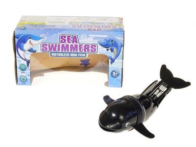 Opakowanie Delfin pływający