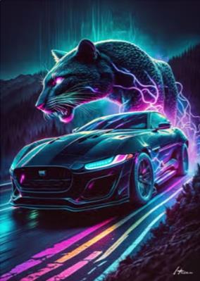 Opakowanie Diamentowa Mozaika Auto i zorza pantera NO-2000877