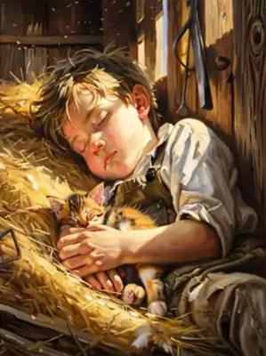Opakowanie Diamentowa Mozaika Chłopiec śpiący na sianie z kotkiem NO-2003010
