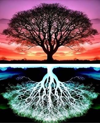 Opakowanie Diamentowa Mozaika Drzewo i odbicie NO-2001537