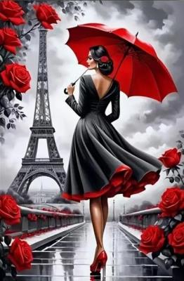 Opakowanie Diamentowa Mozaika Kobieta w Paryżu NO-2001721