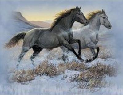 Opakowanie Diamentowa Mozaika Konie czarny i biały galopujące przez step NO-2000645