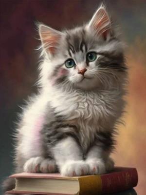 Opakowanie Diamentowa Mozaika Kot malutki na książkach NO-2000904