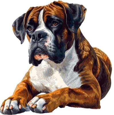 Opakowanie Diamentowa Mozaika Pies bokser leżący NO-2003089