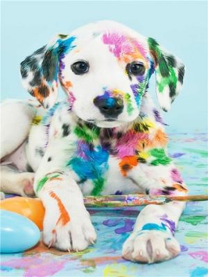 Opakowanie Diamentowa Mozaika Pies dalmatyńczyk NO-1004869