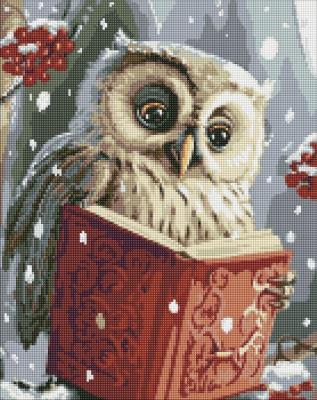 Opakowanie Diamentowa mozaika - Sprytna sowa 40x50cm