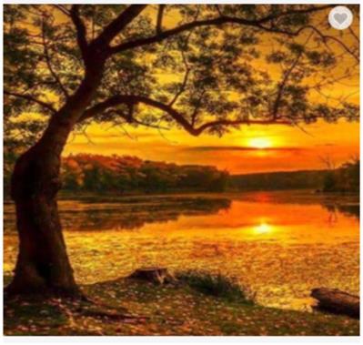 Opakowanie Diamentowa Mozaika Zachód słońca nad moczarami NO-1007414