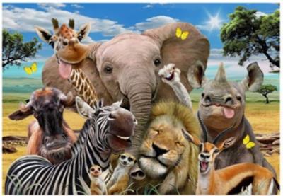 Opakowanie Diamentowa Mozaika Zwierzęta safari uśmiechnięte NO-1007771