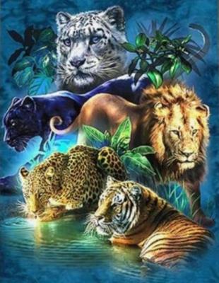 Opakowanie Diamentowa Mozaika Zwierzęta wielkie koty NO-2000179