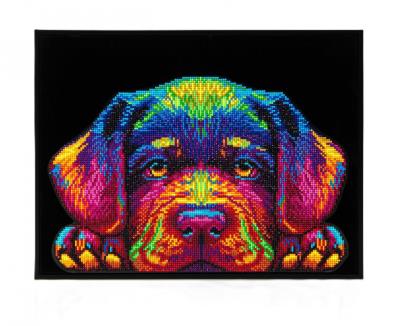 Opakowanie Diamond Dotz - Adults Neon Puppy