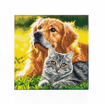 Opakowanie Diamond Dotz - Purrfect Day
