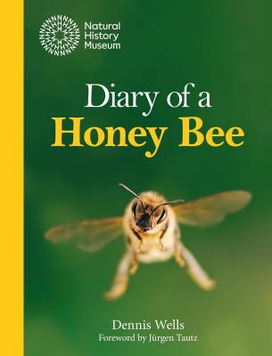 Okładka książki Diary of a Honey Bee
