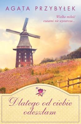 Okładka książki Dlatego od ciebie odeszłam