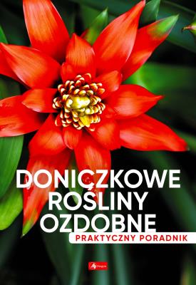 Doniczkowe rośliny ozdobne. Poradnik praktyczny - uszkodzone. Autor: Opracowanie zbiorowe. SmakLiter.pl Okładka książki Doniczkowe rośliny ozdobne. Poradnik praktyczny - uszkodzone