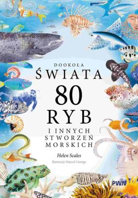 Okładka książki Dookoła świata. 80 ryb i innych stworzeń morskich