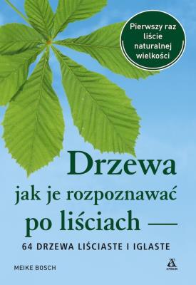Drzewa – jak je rozpoznawać po liściach. Autor: Meike Bosch. SmakLiter.pl Okładka książki Drzewa – jak je rozpoznawać po liściach