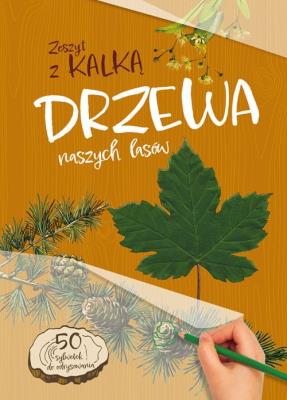 Drzewa naszych lasów. Zeszyt z kalką. Autor: Andżelika Bielańska. SmakLiter.pl Okładka książki Drzewa naszych lasów. Zeszyt z kalką