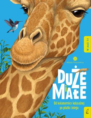 Duże i małe. Od kałamarnicy kolosalnej po płatki śniegu. Młodzi przyrodnicy. Autor: Bedoyere de la Camilla. SmakLiter.pl Okładka książki Duże i małe. Od kałamarnicy kolosalnej po płatki śniegu. Młodzi przyrodnicy