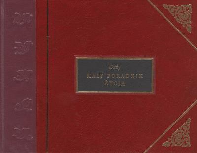 Okładka książki Duży mały poradnik życia