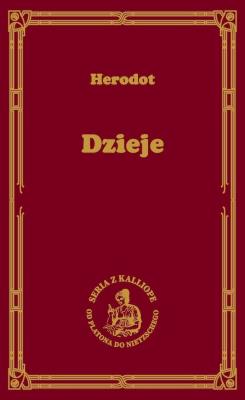 Okładka książki Dzieje