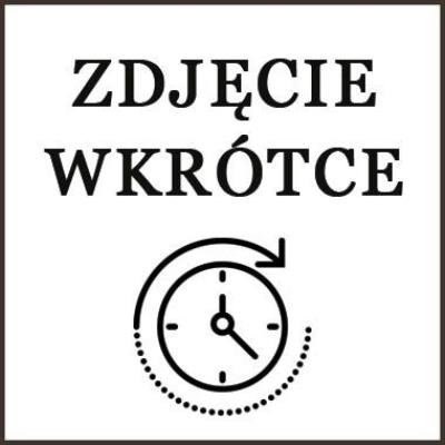 Opakowanie Fidget toy busters