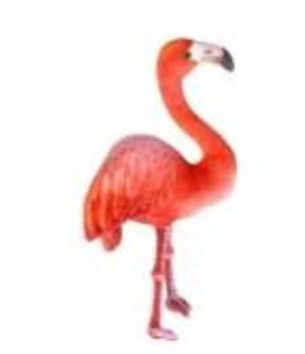 Opakowanie Flaming 55cm