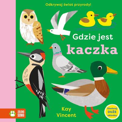 Gdzie jest kaczka. Autor: Kay Vincent. SmakLiter.pl Okładka książki Gdzie jest kaczka
