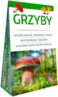 Okładka książki Grzyby. Poręczny, laminowany miniprzewodnik