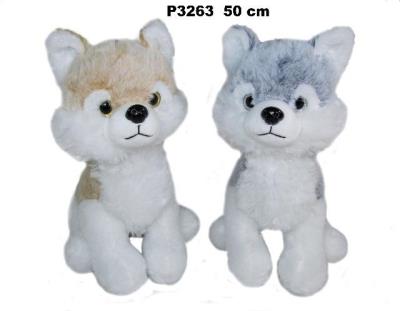 Opakowanie Husky 50cm MIX