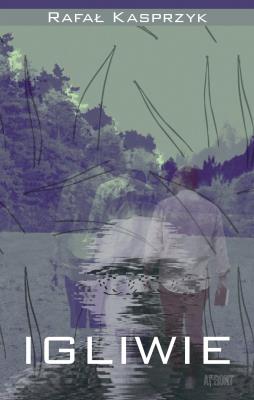 Okładka książki Igliwie czyli niespieszne rozmowy  nie tylko o literaturze