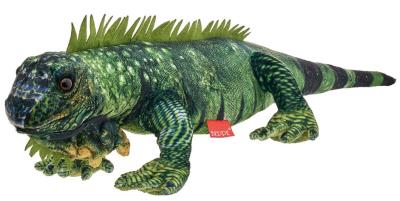 Opakowanie Iguana 61cm