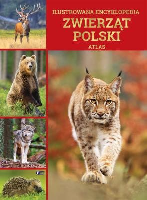 Ilustrowana encyklopedia zwierząt Polski. Atlas. Autor: Opracowanie zbiorowe. SmakLiter.pl Okładka książki Ilustrowana encyklopedia zwierząt Polski. Atlas