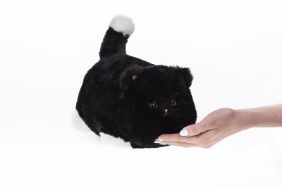 Interaktywny Kot Huggy Luv czarny DKO0222. Wydawca: TM Toys. SmakLiter.pl Opakowanie Interaktywny Kot Huggy Luv czarny DKO0222