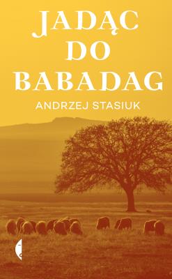 Okładka książki Jadąc do Babadag. Andrzej Stasiuk wyd. 6