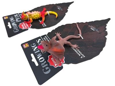 Opakowanie Jaszczurka MIX