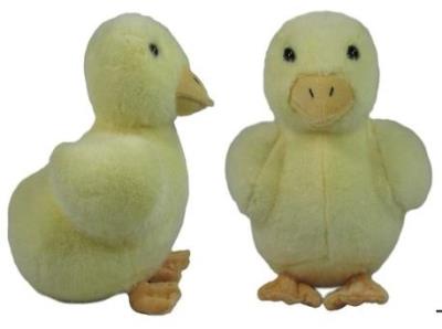 Opakowanie Kaczka 20cm