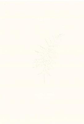 Okładka książki Kalcyt