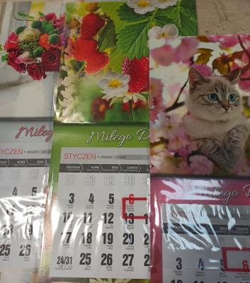 Opakowanie Kalendarz 2022 z magnesem ktj-2m jednodzielny mini