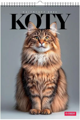 Opakowanie Kalendarz 2026 A3 wieloplanszowy Koty
