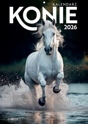 Opakowanie Kalendarz 2026 A4 Wieloplanszowy Konie