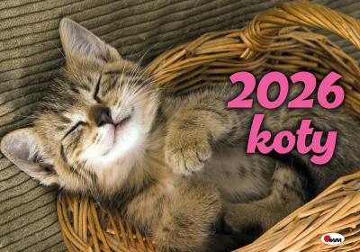 Kalendarz 2026 albumowy Koty KA2. Autor: Zespół AWM. SmakLiter.pl Okładka książki Kalendarz 2026 albumowy Koty KA2