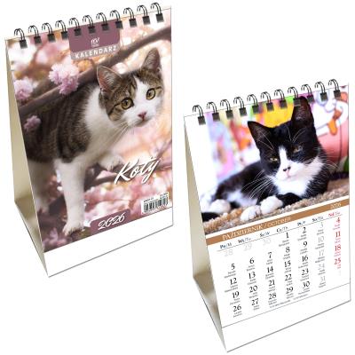 Opakowanie Kalendarz 2026 biurkowy pionowy Koty