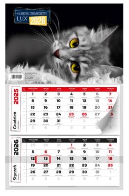 Kalendarz 2026 dwumiesięczny lux. Wydawca: Kalpol. SmakLiter.pl Opakowanie Kalendarz 2026 dwumiesięczny lux