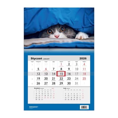 Opakowanie Kalendarz 2026 jednodzielny Kot HELMA
