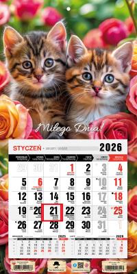 Kalendarz 2026 jednodzielny mini kotki. Wydawca: Pan Kalendarzyk. SmakLiter.pl Opakowanie Kalendarz 2026 jednodzielny mini kotki